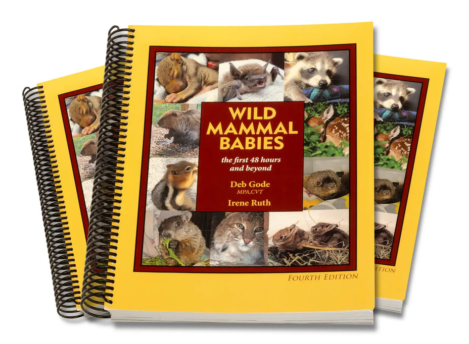 Wild Mammal Babies