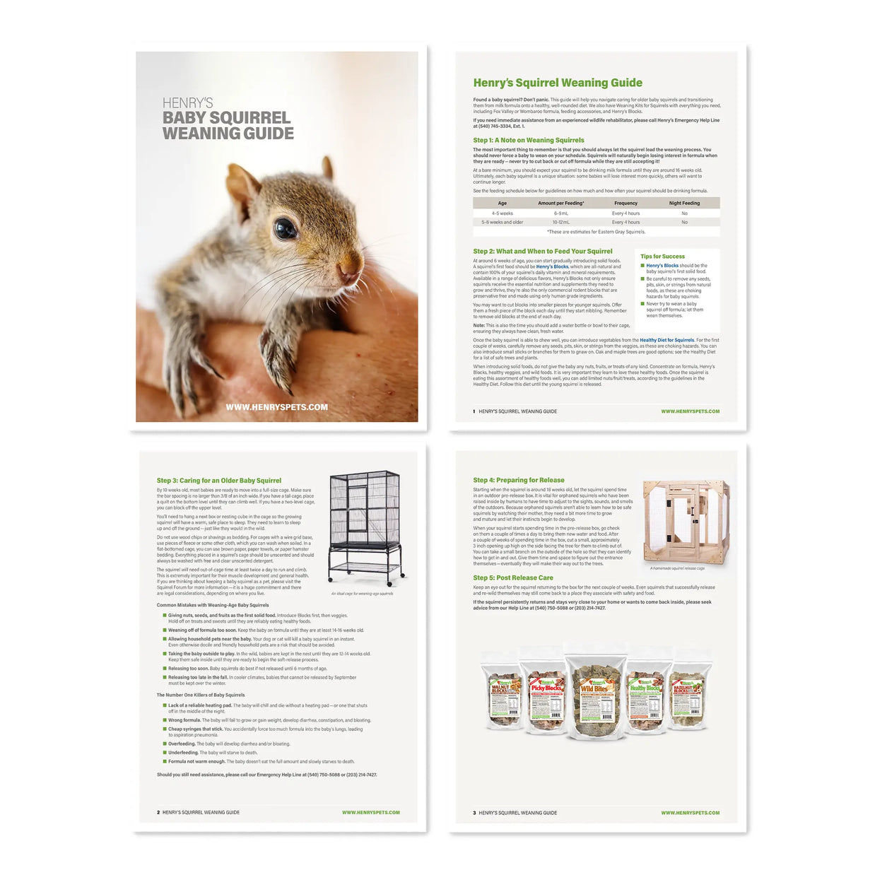 Image of Baby Squirrel Weaning Guide pages.