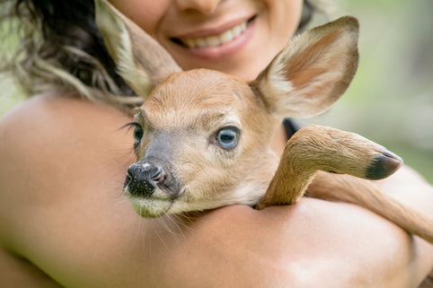 🦉 What Wildlife Rehabilitators Do: A Complete Guide to the People Who Rescue and Heal Wild Animals