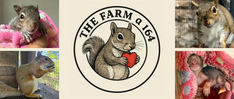 A Life Rooted in the Woods: The Story of Amanda, and The Farm at 164