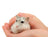 Hamster Diet