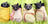 Bats