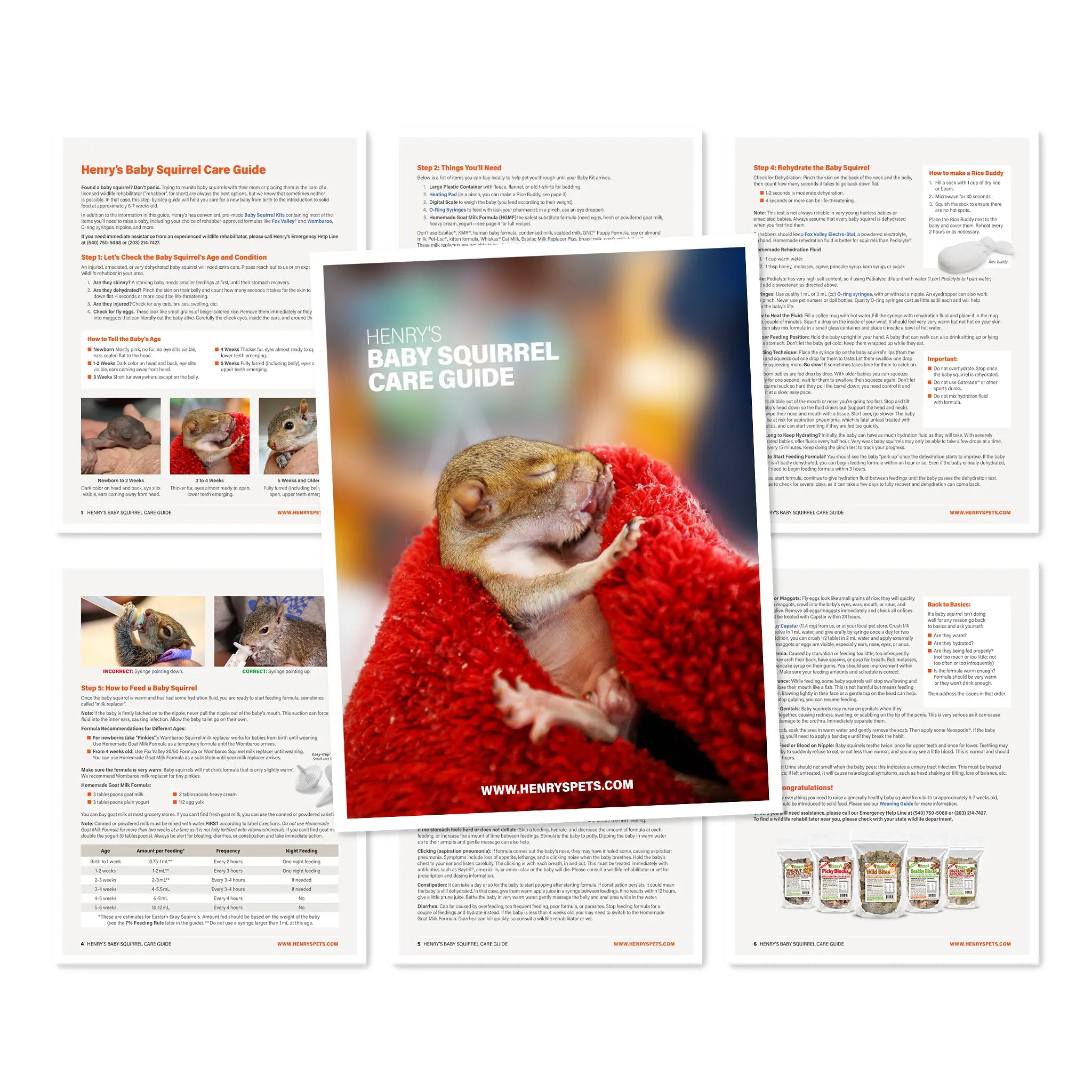 Image of Henry's Baby Squirrel Care Guide layout.