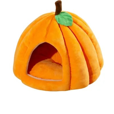 Henry's Cozy Pumpkin