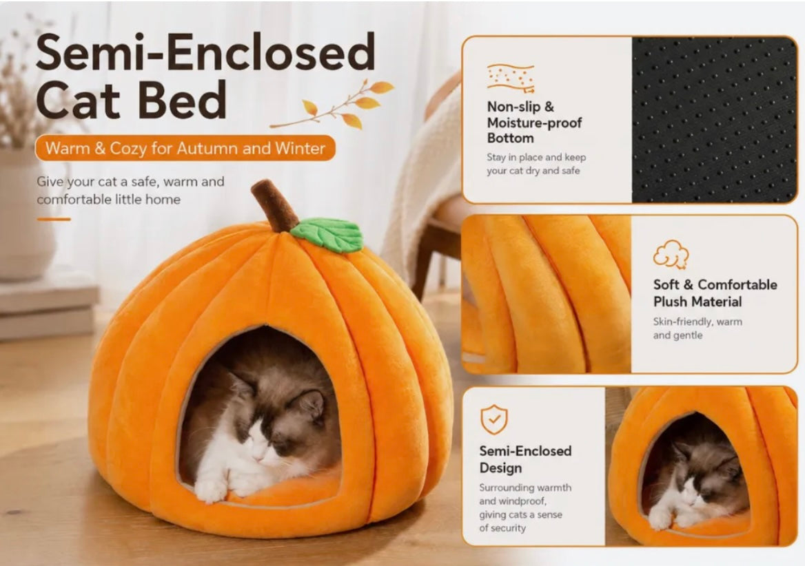 Henry's Cozy Pumpkin