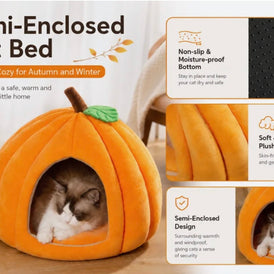 Henry's Cozy Pumpkin