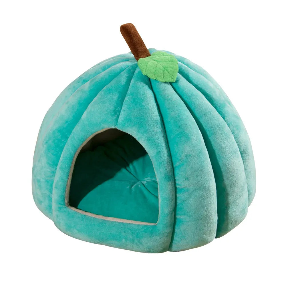 Henry's Cozy Pumpkin