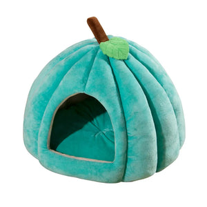 Henry's Cozy Pumpkin