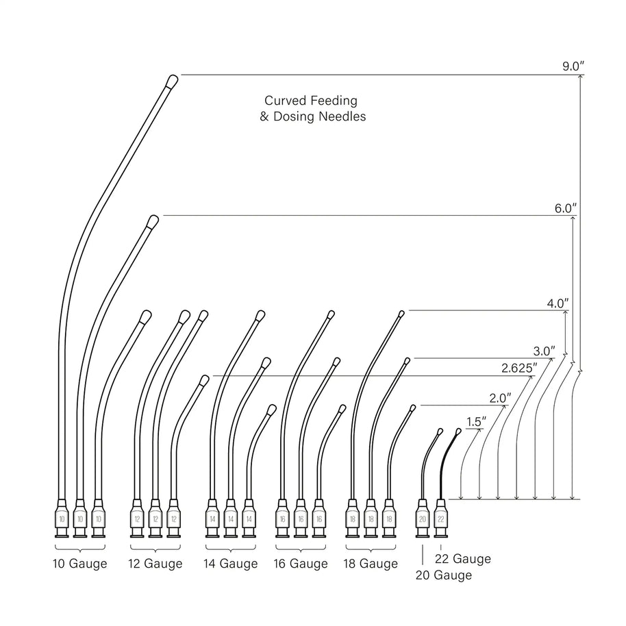 Graphic of curved feeding needle gauge sizes and lengths: 10 gauge available in 9
