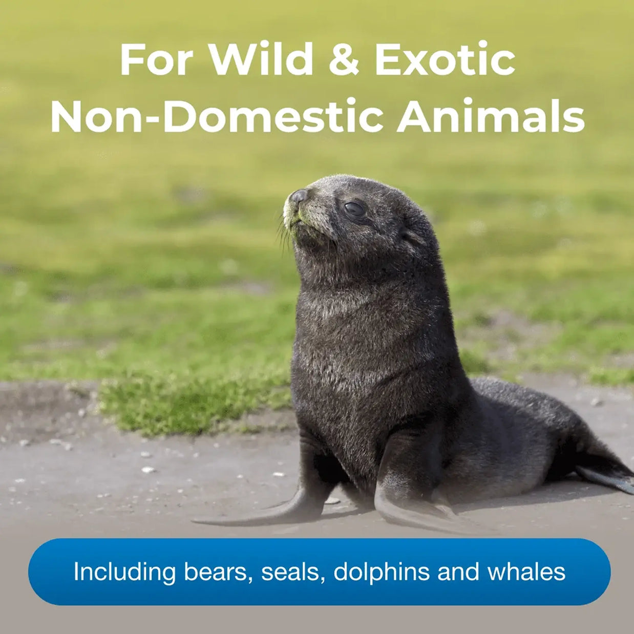 Zoologic® Milk Matrix 42/25 - 5 lbs (2.2 kg)