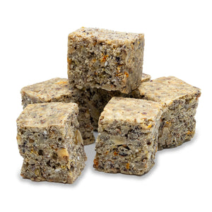 Hazelnut Blocks - Food for Squirrels, Flyers, Rats and Mice