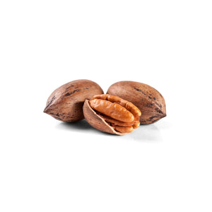 Closeup image of Stuart Pecans on a white background.